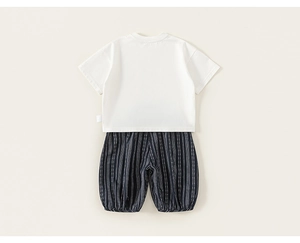 Flat lay detail of white cotton T-shirt and striped bloomers for boys' summer outfit