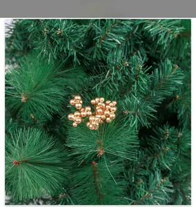 Close-up of shiny golden berry clusters on green Christmas tree pine branches