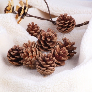Natural brown pine cones set for Christmas tree decoration and DIY crafts on soft fabric