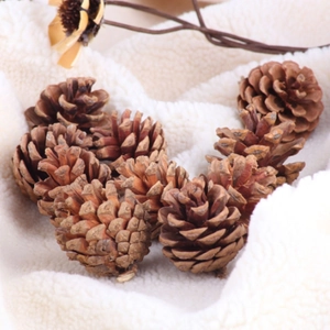 Pommes de pin naturelles pour décoration de Noël et bricolage sur polaire blanche