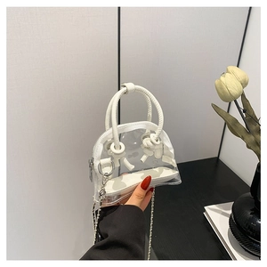 Mini sac à main transparent en PVC avec bordure en similicuir blanc et chaîne argentée