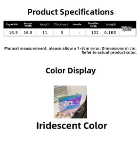 Size chart showing dimensions for the iridescent chain crossbody bag 16.5x11x5 cm
