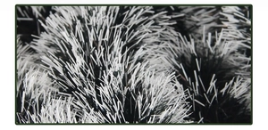 Dettaglio macro della texture della ghirlanda di Natale verde scuro e bianco da 9cm