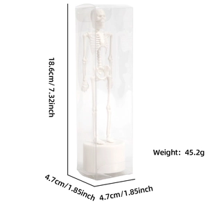 Detailed dimensions of the Halloween skeleton model in a transparent display box