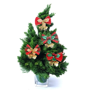 Mini-Weihnachtsbaumschleifen mit goldenen Glocken und roten Beeren auf grünen Tannennadeln