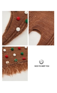 Détail d'un sac cabas en tricot marron avec pompons colorés et longues franges
