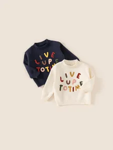 Kids Knitted Sweater Colorful Letter Chenille Embroidery Long Sleeve Acrylic Pullover Crew Neck Winter Warm Toddler Top