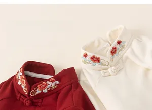 Detail of traditional Chinese stand collar with handmade buttons and floral embroidery