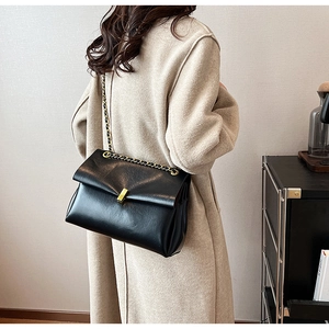 Détail de sac rétro noir avec bandoulière chaîne, design accordéon et fermoir doré chic