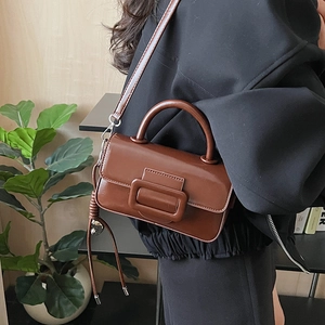 Brown rectangular crossbody bag with large decorative buckle shown in a lifestyle setting