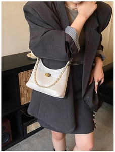 Detailed view of beige canvas and leather shoulder bag with golden chain and clasp