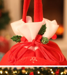 Detail of Christmas gift bag with red drawstring, sequined holly leaves and plush pompom