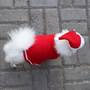 Costume de Noël pour chien avec cape rouge et bonnet de Père Noël en polaire douce