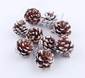 Detailed view of natural pine cones with white snow tips and silver hanging strings