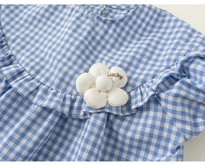Detail of blue gingham cotton top with ruffled collar and a lucky floral embroidery