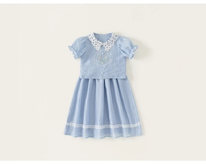 Close-up of light blue girl's dress with white lace collar and floral embroidery texture