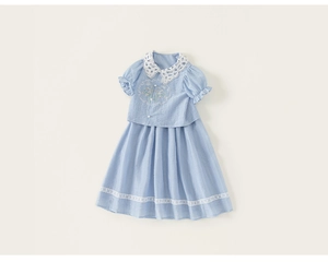 Detailed embroidery and lace Peter Pan collar on light blue girl's summer dress