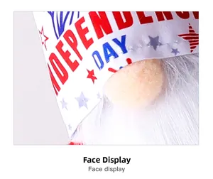 Dettaglio ravvicinato del viso dello gnomo dell'Independence Day con barba bianca