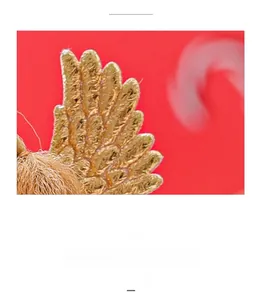 Nahaufnahme goldener Engelsflügel Stickerei auf rotem Stoff für Weihnachtsdeko