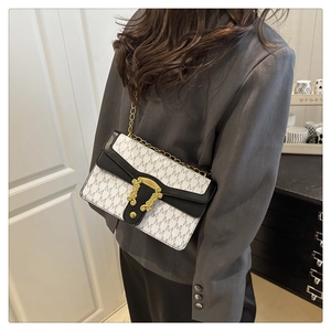 Detail of vintage black and white bag with gold chain and embossed metallic buckle
