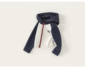 Vue détaillée du sweat à capuche enfant avec manches contrastées et broderie chiot