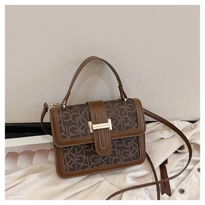 Detail view of brown monogram handbag with vintage gold buckle and top handle