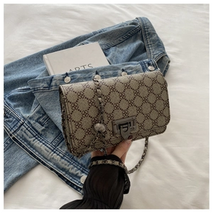 Detail shot of the vintage monogram printed crossbody bag with metal chain strap and twist lock