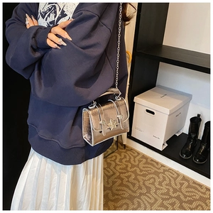 Silver metallic crossbody bag with star hardware shown being worn by a fashion model