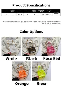 Spécifications de taille pour mini sacs en PVC transparent avec bandoulière chaîne dorée