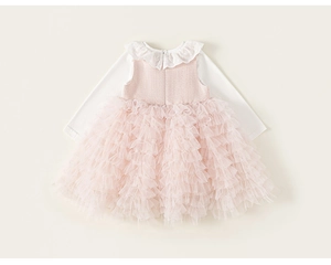 Detail van babymeisjes tutu-jurk met kant kraagje en roze tweed rok van mesh stoffen