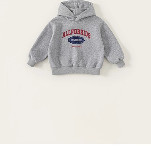 Detail of grey hoodie showing red Allforkids and blue Insbobo print on the chest