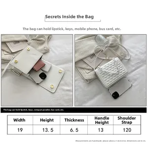 Detailed size specifications for quilted chain bag showing dimensions and interior capacity