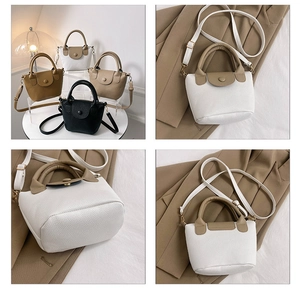 Détails du mini sac bandoulière élégant avec texture litchi et quatre coloris