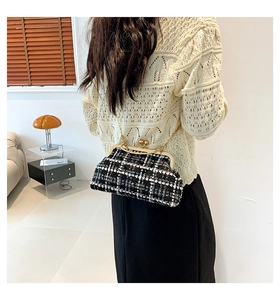 Detail of black and white tweed crossbody bag with gold metal clasp and chain strap