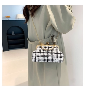 Chic black and white tweed crossbody bag with gold chain strap shown on a model