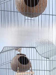 Macro detail of natural coconut shell bird nest with hanging rope and wooden perch