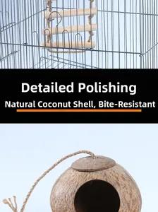 Detailed view of polished natural coconut shell bird house with durable wood climbing ladder