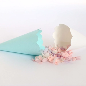 Wedding petal paper cones with scalloped edges and colorful dried flower petals