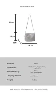 Detailed dimension guide for silver sequin shoulder bag showing width and height specs