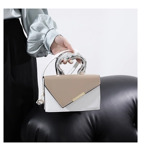 Detailed view of women's two-tone crossbody bag with unique silver metallic handle