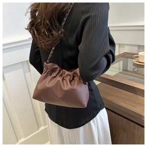 Brown pleated bucket bag featuring chain strap shown on model in a stylish interior