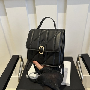 Classic black quilted handbag with gold clasp, versatile crossbody style for women