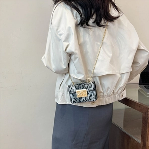 Mini borsa a catena con stampa leopardata da donna con chiusura dorata e tracolla sottile
