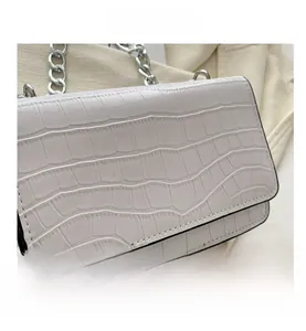 Detail showing white crocodile pattern texture and silver chain strap on a small square bag
