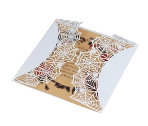 Detail of laser-cut spider web invitation with kraft paper insert for Halloween party
