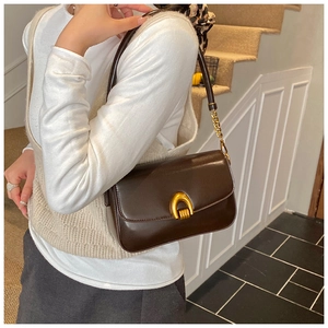 Close-up of brown leather bag with golden U-shaped buckle and chain strap detail