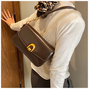 Detail of dark brown glossy leather shoulder bag with golden horseshoe buckle and chain strap