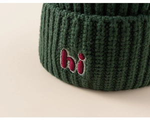 Detailed macro view of dark green ribbed knit beanie with purple hi embroidery