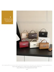 Detailed showcase of small leather square handbags in six trendy colors with metal locks