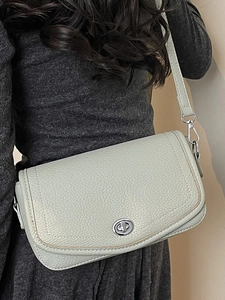 French style sage green leather shoulder bag with silver turn-lock and lychee texture